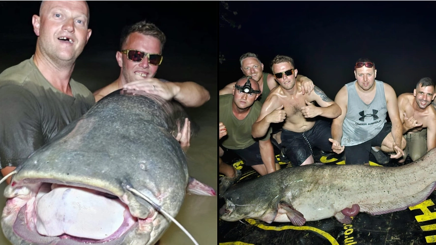 British lads reel in monster 250lb catfish while on holiday in Spain