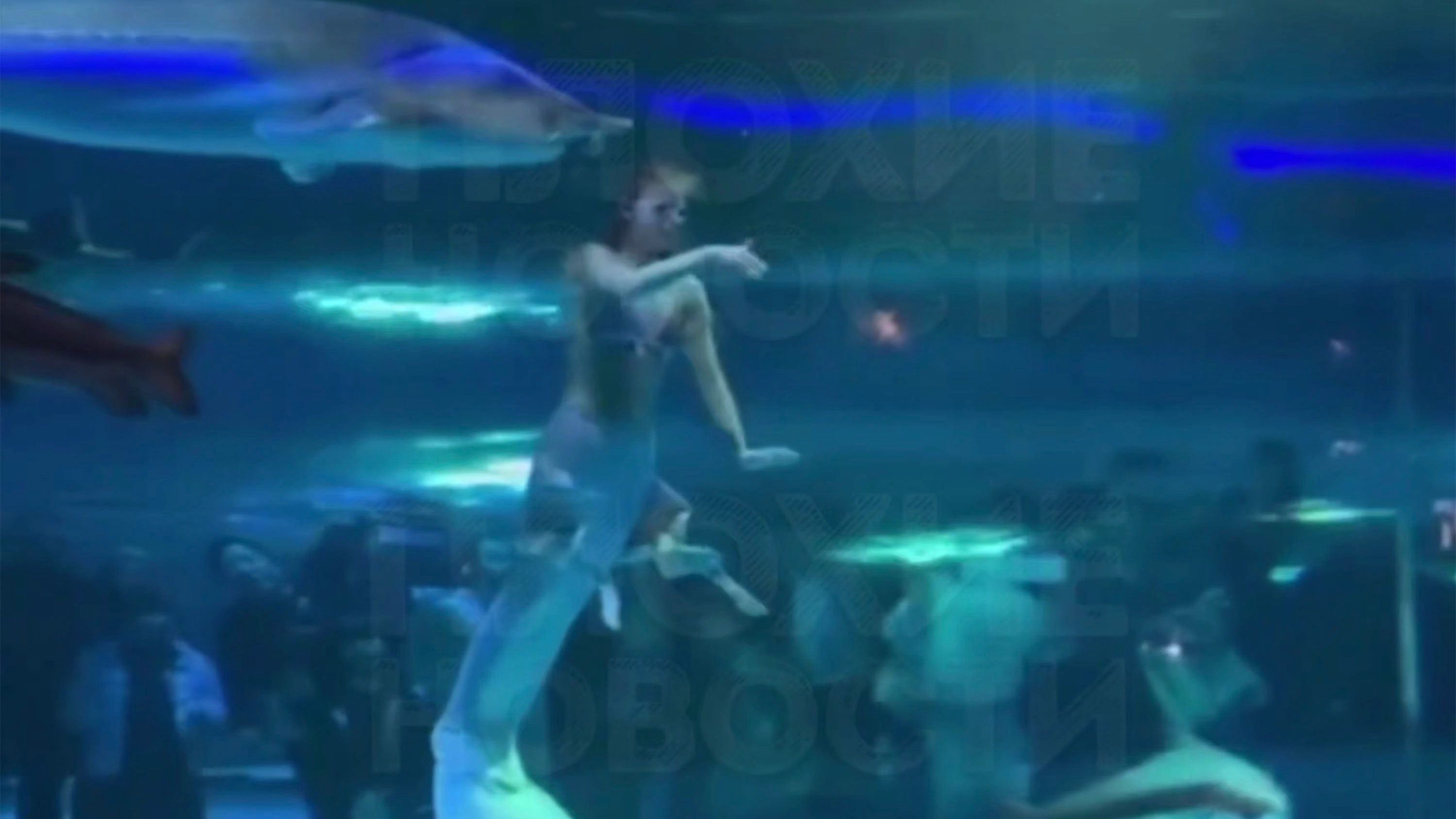 Mermaid performer who had giant fish bite her head in front of terrified children speaks out about horrifying incident