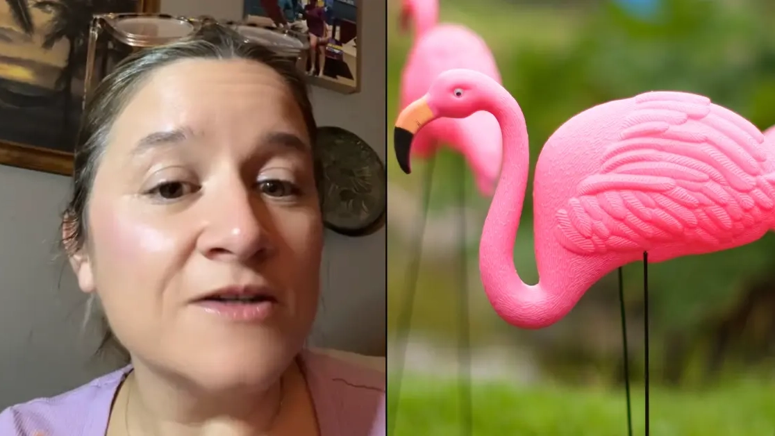 Travel expert explains what it means if you see pink flamingo on passengers' door while on cruise