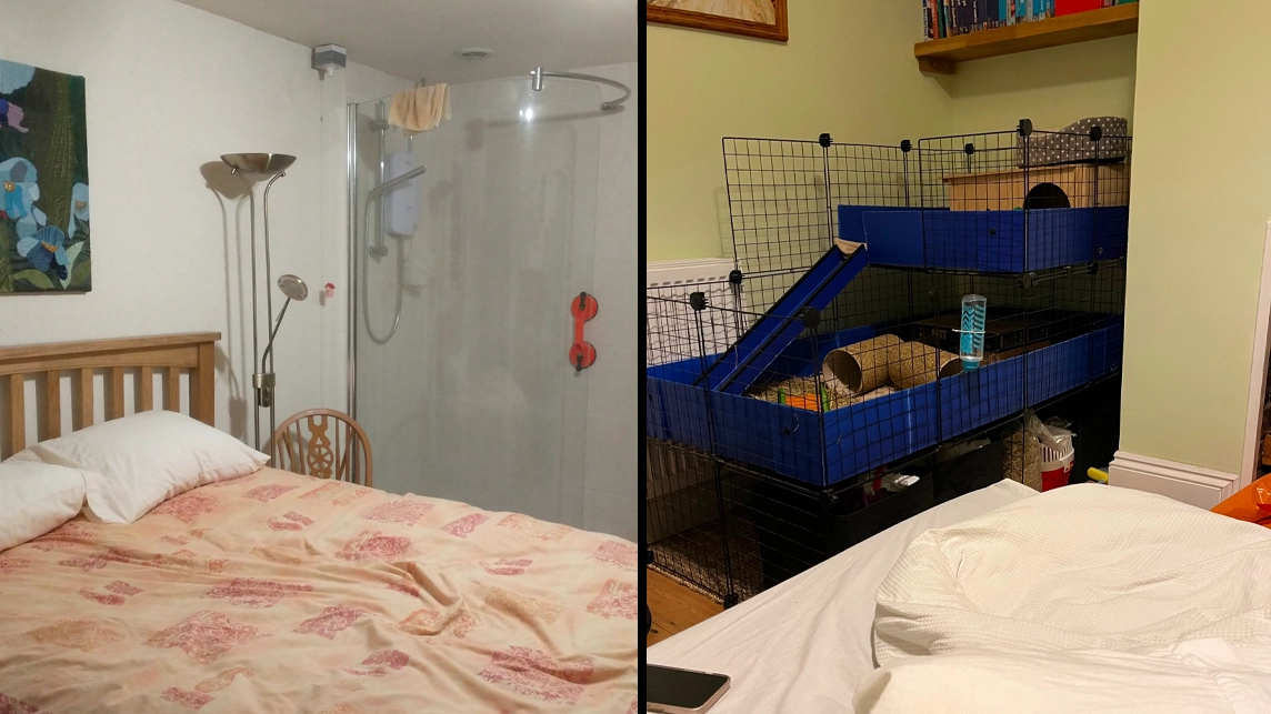People are sharing their uncomfortable sleeping arrangements as #DuvetKnowItsChristmas returns