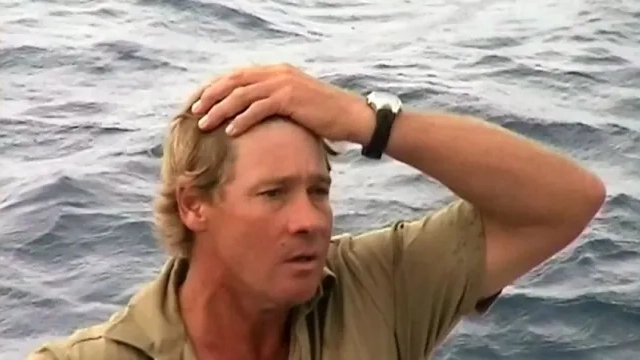 Steve Irwin's underwater cameraman explained horrifying moment stingray attacked the Crocodile Hunter
