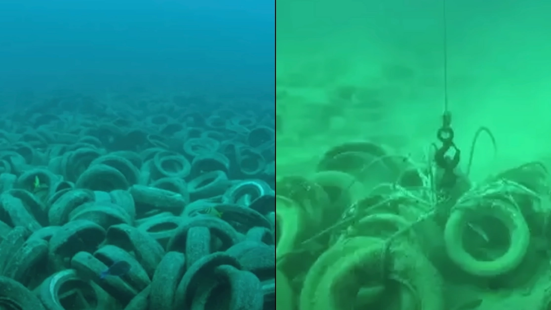 Shocking results dumping two million tyres into the ocean in eerie experiment had 50 years later