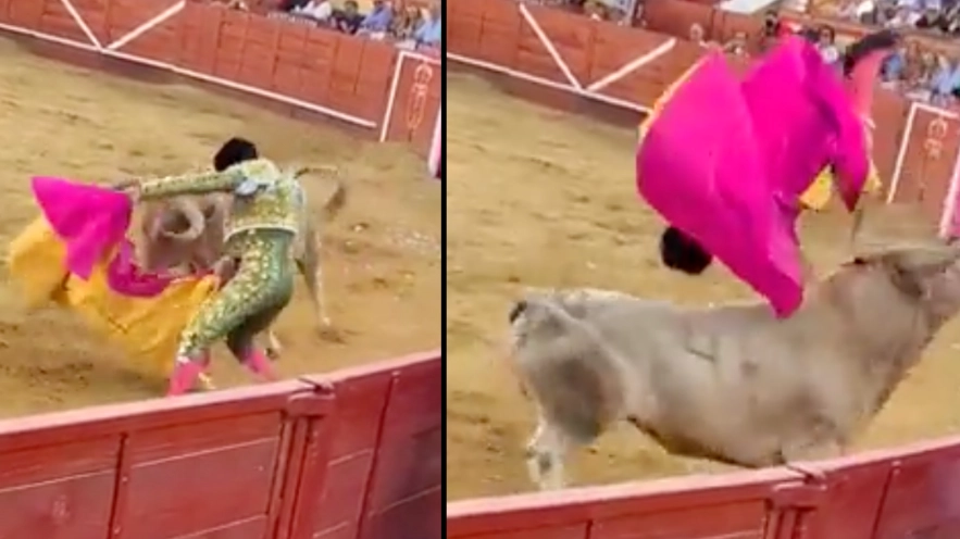 Matador taken to hospital in a serious condition after bull gores him in the bum