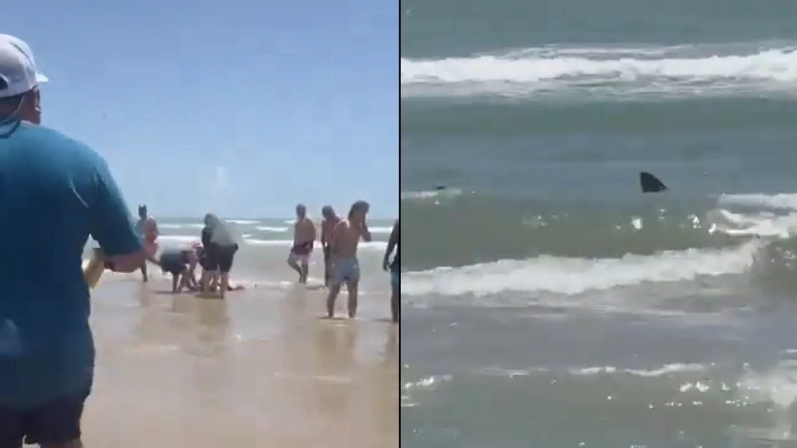 Horrifying scenes as blood pours into water while shark circles as several people attacked