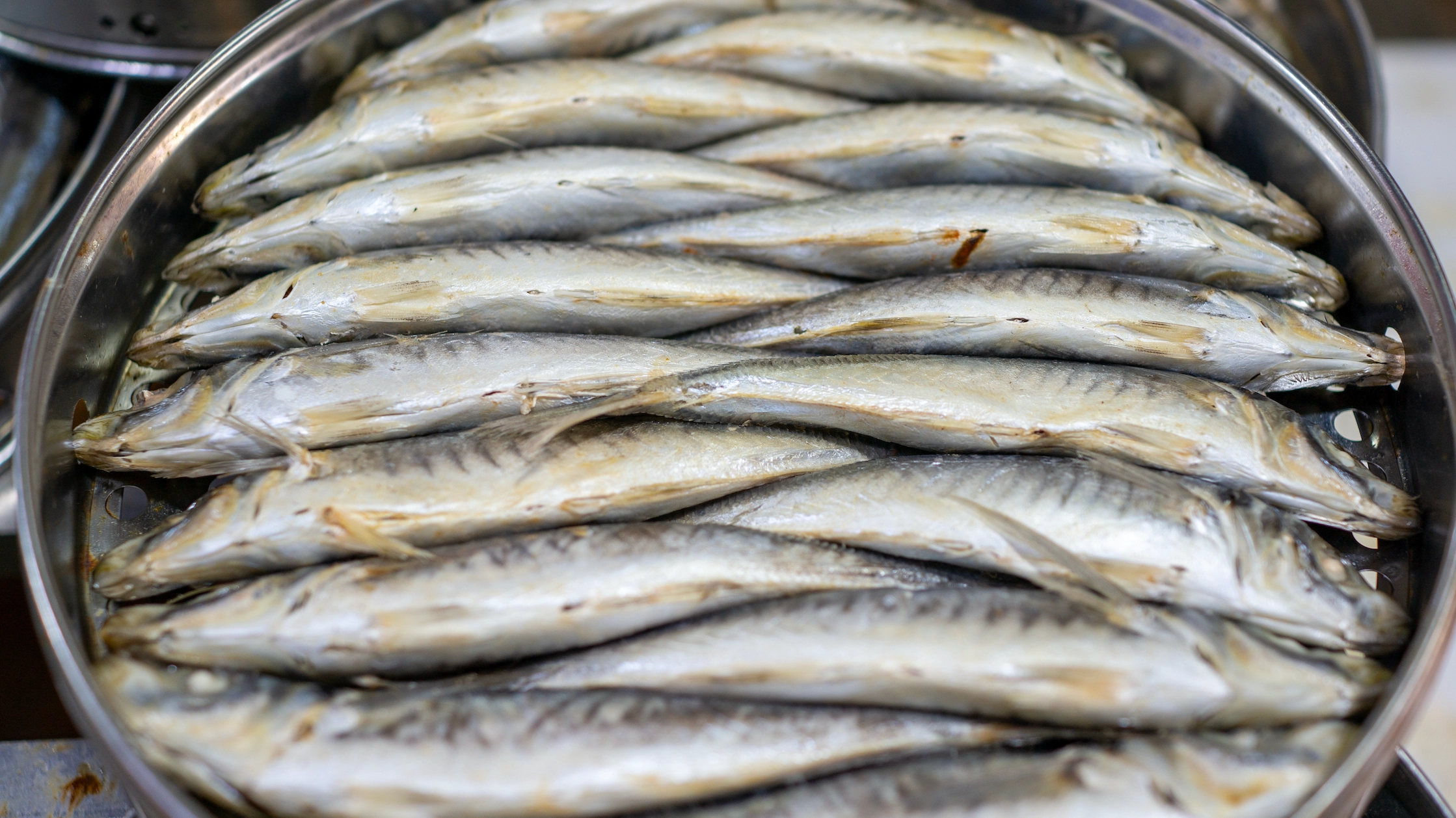 Tinned 'mackerel' in the UK no longer contains mackerel