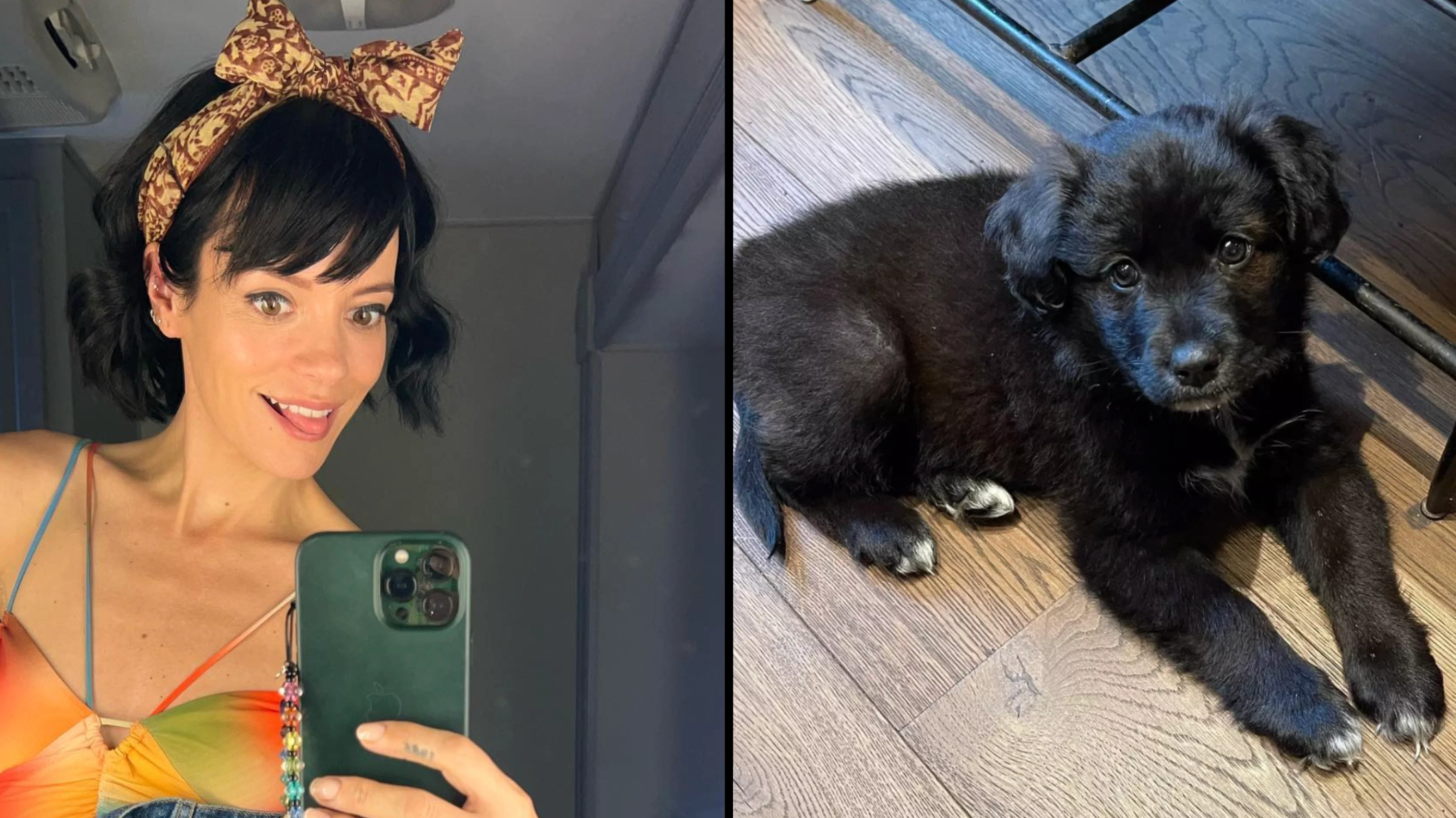 Lily Allen releases statement after being slammed for getting rid of her dog for eating her passport