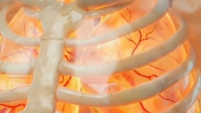 Terrifying simulation shows what happens to your body after 40 days of vaping