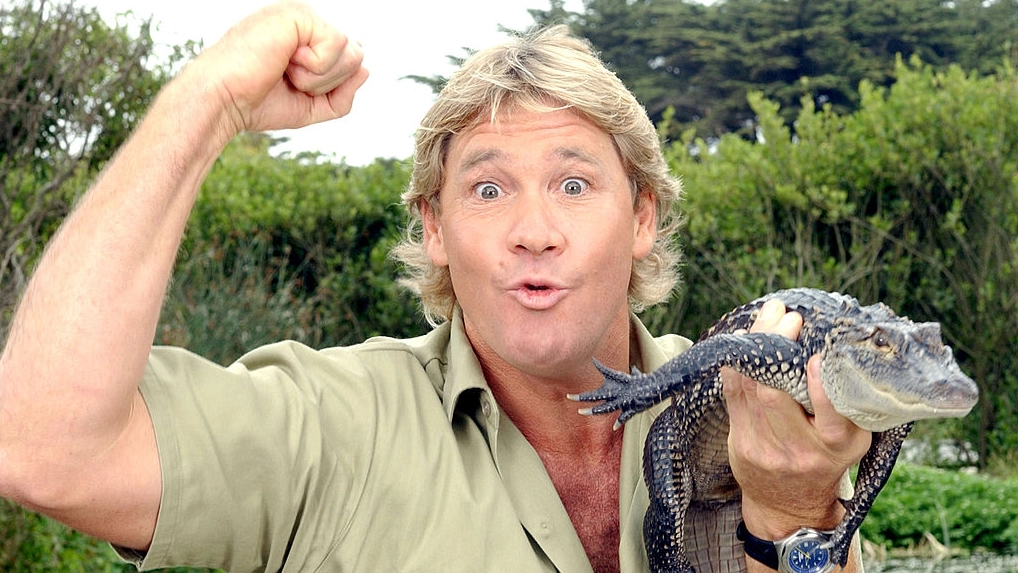 Cameraman who filmed Steve Irwin's fatal accident tragically relived the Crocodile Hunter's final moments