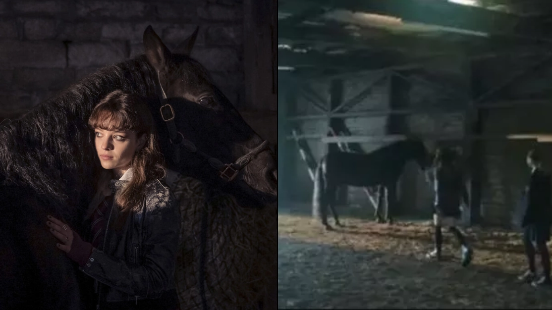 Horrified BBC viewers ask if there was 'any need' for gruesome horse scene in first episode of new drama
