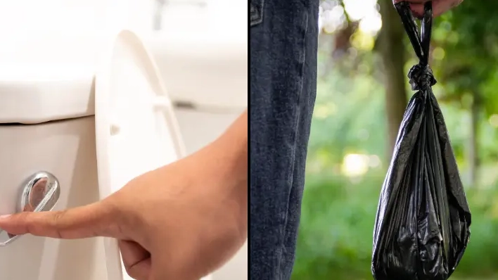 Vet issued warning to anyone that flushes their pet's poo down the toilet