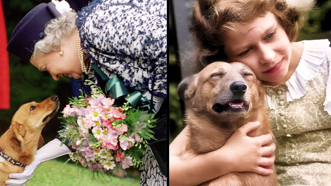 Queen's corgi once narrowly avoided being electrocuted at Balmoral Castle