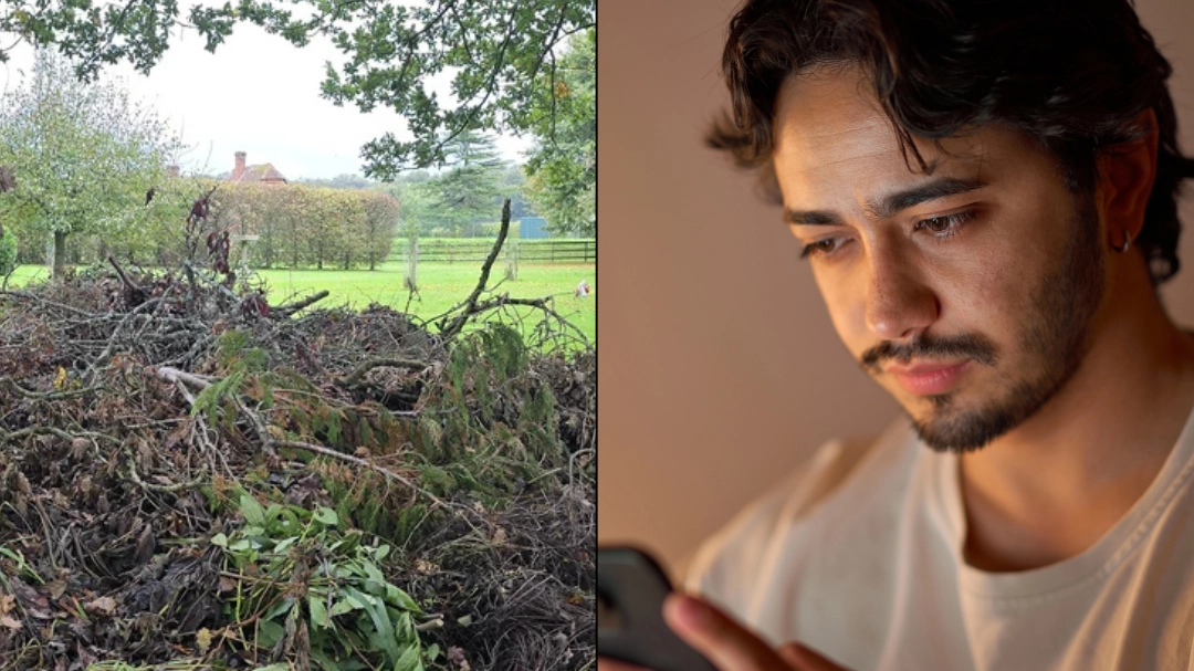 You have high IQ and 'sniper vision' if you can spot hidden dog in this image