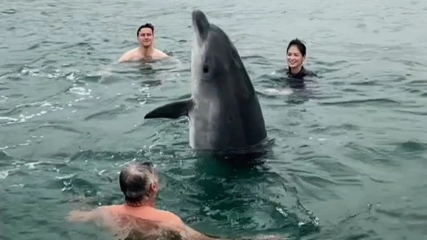 Expert explains why dolphin playfully swimming with family was really doing it