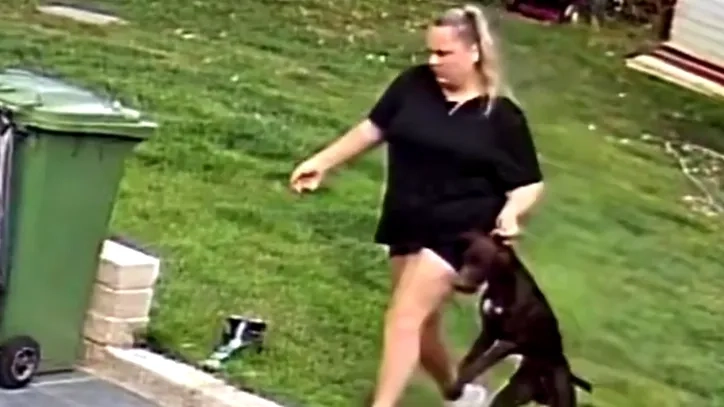 Family discover pet sitter was abusing their dog whilst on holiday after finding horrifying footage