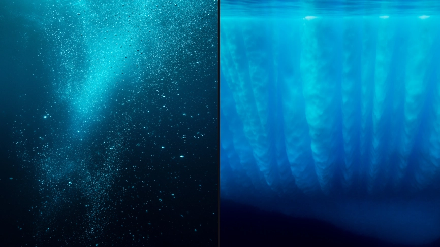 Scientists finally found answer to what the 'most mysterious underwater sound' is after more than 20 years