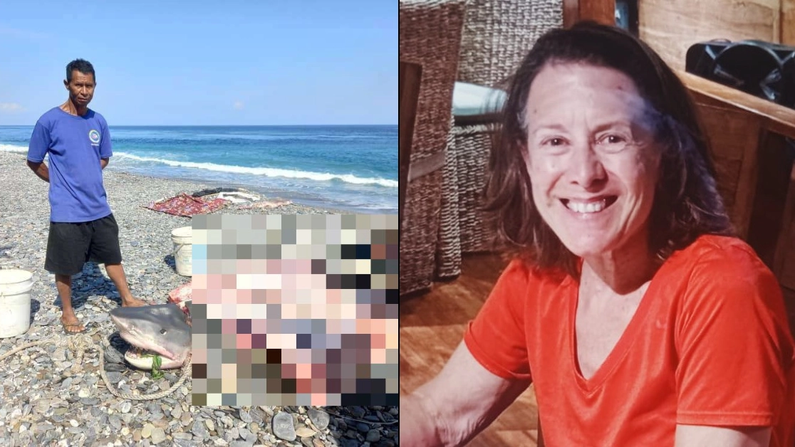 Friends of tourist 'eaten by shark' on dream holiday speak out claiming they 'don't believe shark killed her'