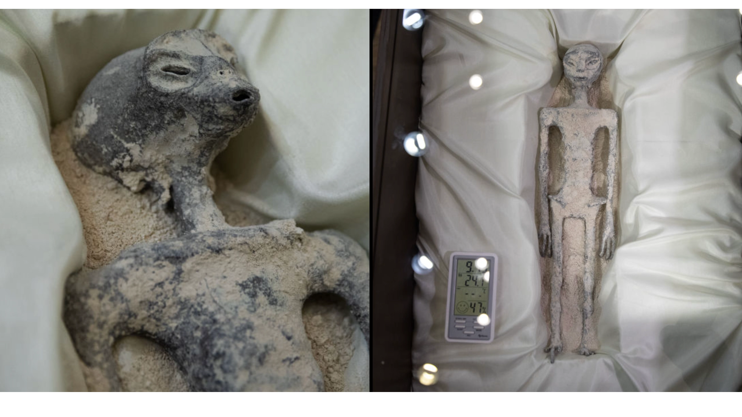 'Aliens corpses' found to have 30% DNA of 'unknown species'