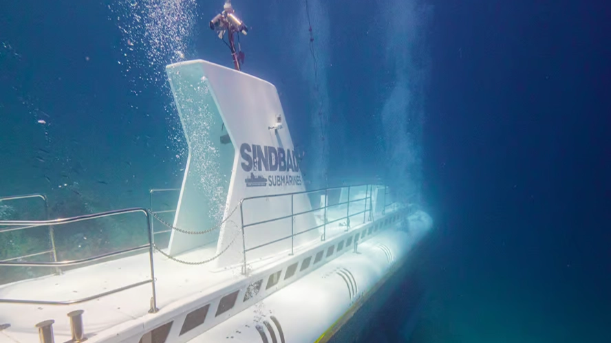 Survivor of tourist submarine that sank and killed six revealed horrifying moment they realised something was wrong