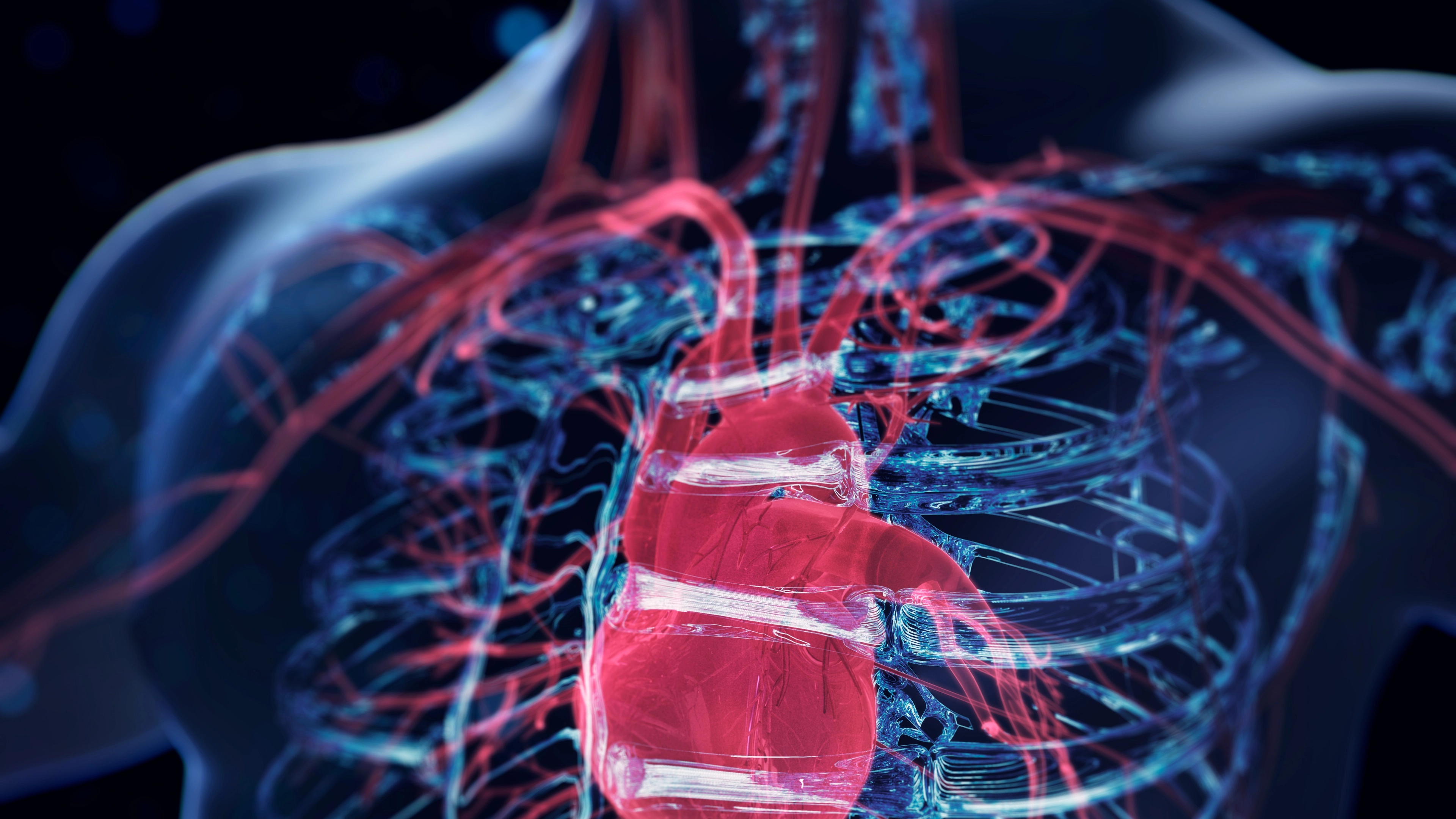 Four ‘early warning signs’ linked to nearly 100% of heart attacks or strokes