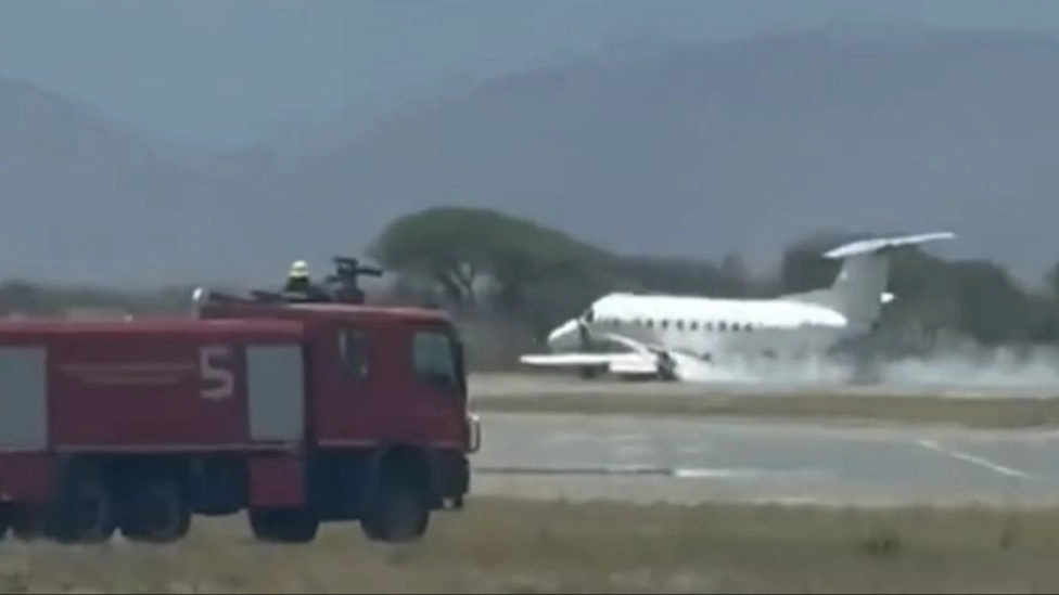 Tourist plane carrying 30 people hits and kills zebra before dramatic emergency landing