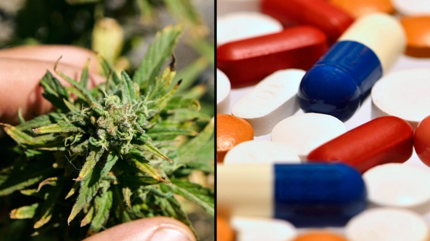 Marijuana Legalisation Linked To Decreased Demand For Prescription Drugs, New Study Reveals