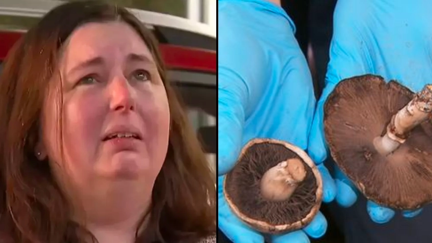 Twist in deadly poisonous mushroom lunch case as fifth person confirmed to have been hospitalised