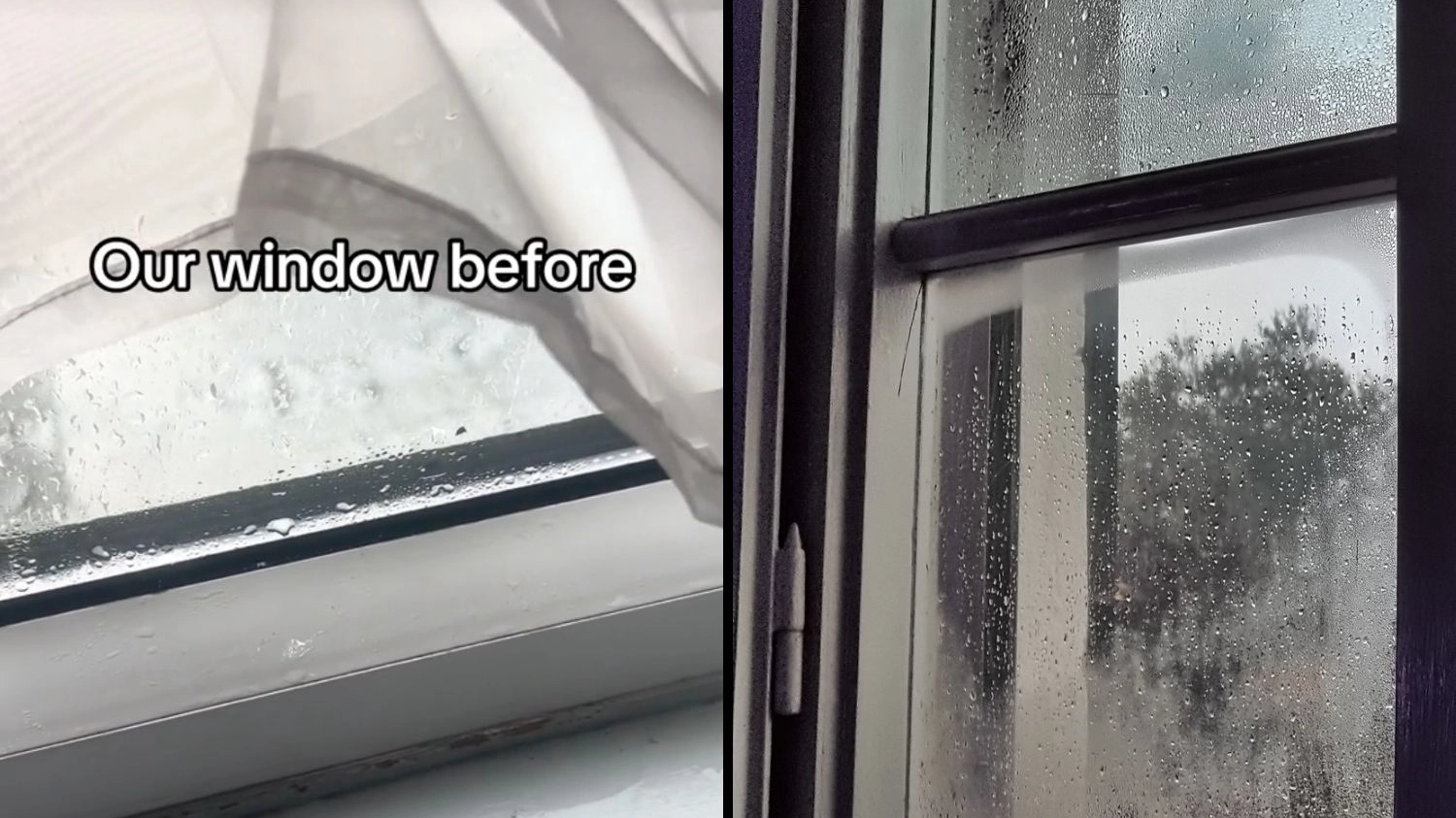 Under-a-tenner solution to condensation on windows as government issues serious health warning