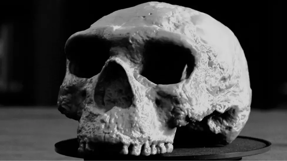 Scientists rewrite human history after unlocking ancient skull's secrets