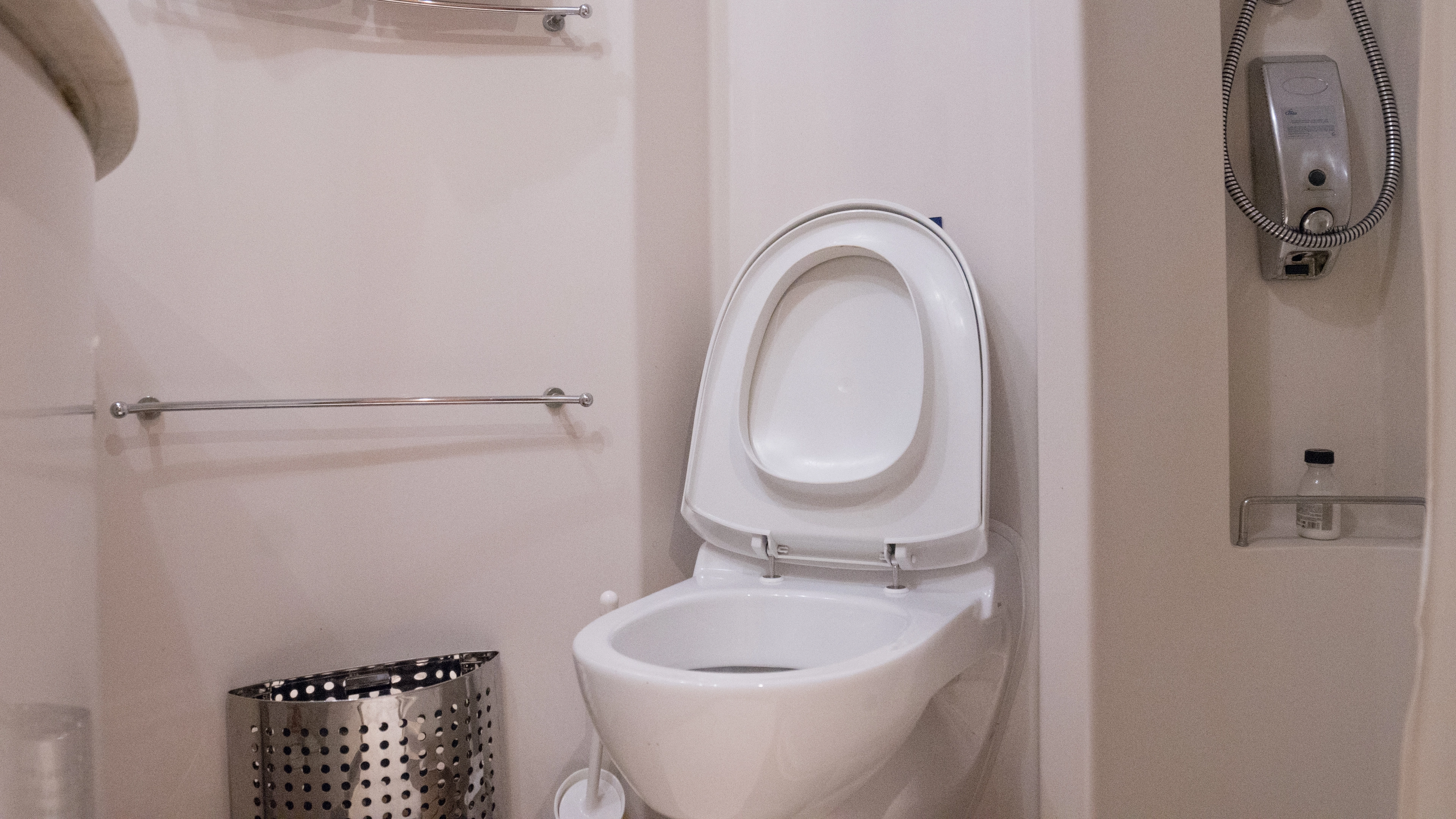 Carnival Cruise Line explains bathroom ban and gross reason for it