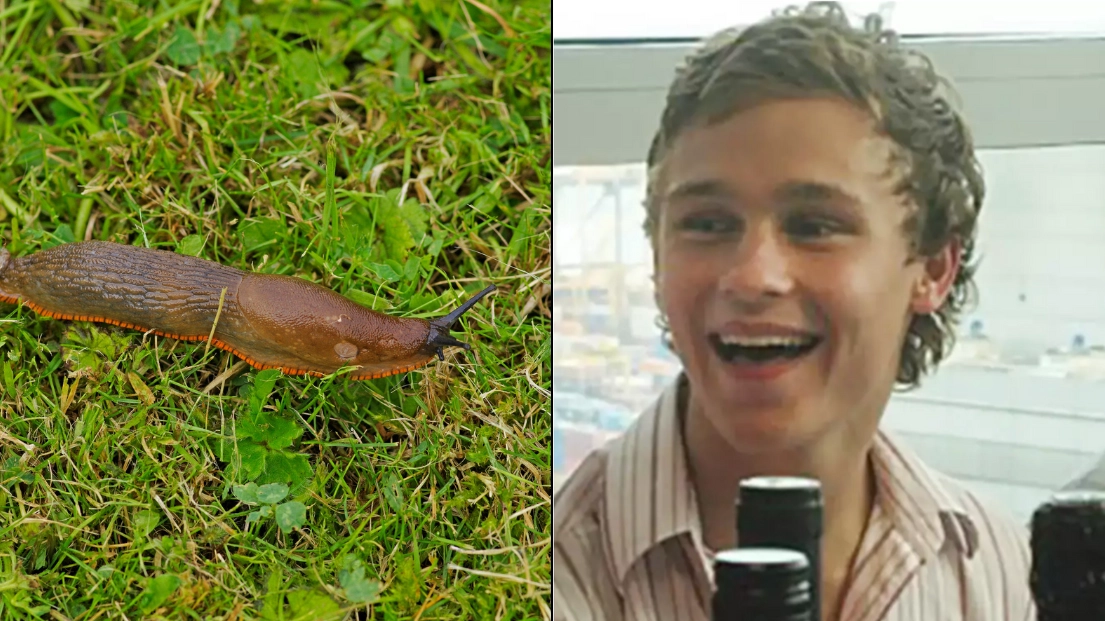 Tragic story of 19-year-old who died after party dare left him paralysed for eight years
