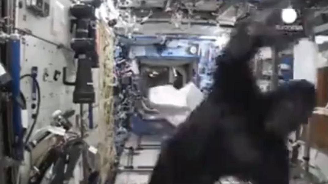 Astronaut explained why he wore gorilla suit on ISS as hilarious footage of prank resurfaces