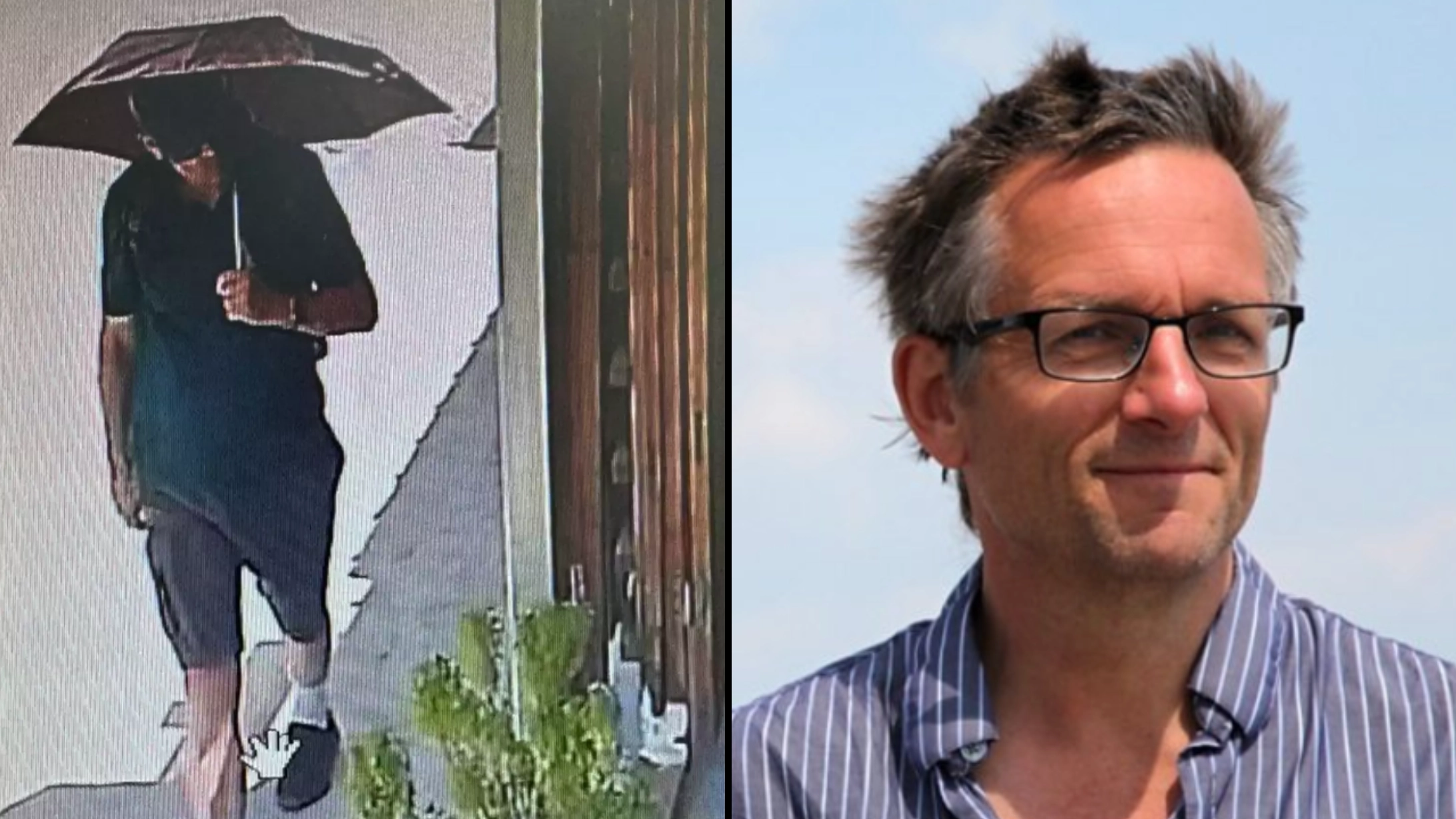 CCTV appears to show Michael Mosley falling over as wife says he 'nearly made it' to safety