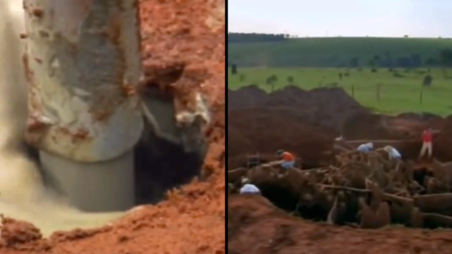 Scientists poured tonnes of cement into abandoned ant hill and discovered mega-city under the earth