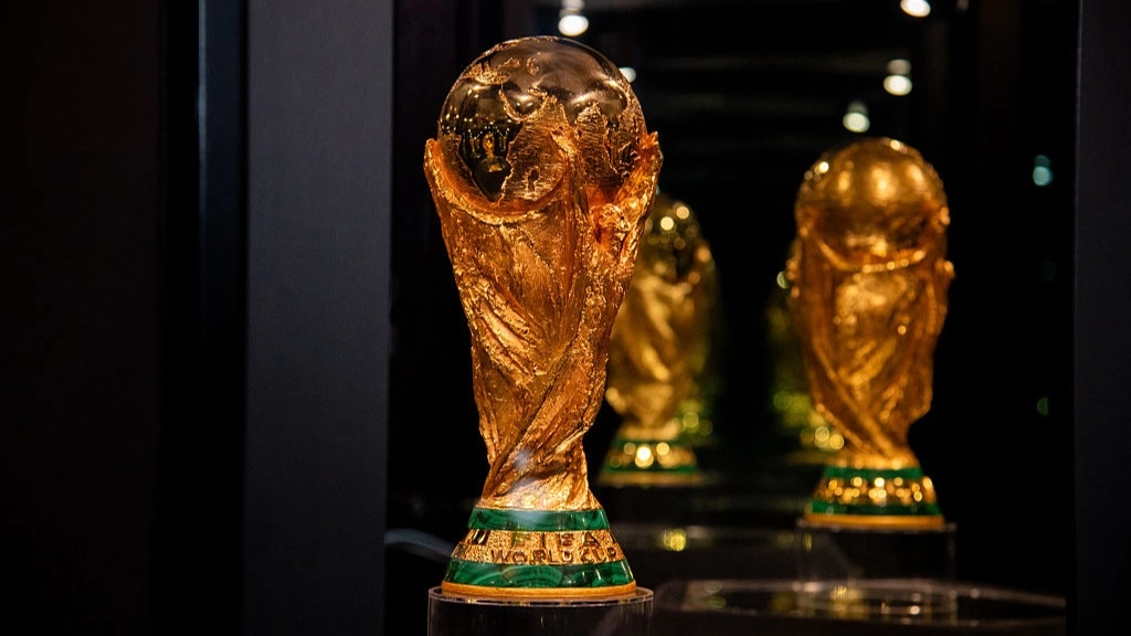 FIFA 'regrets' giving away free World Cup tickets and cancels them ahead of tournament