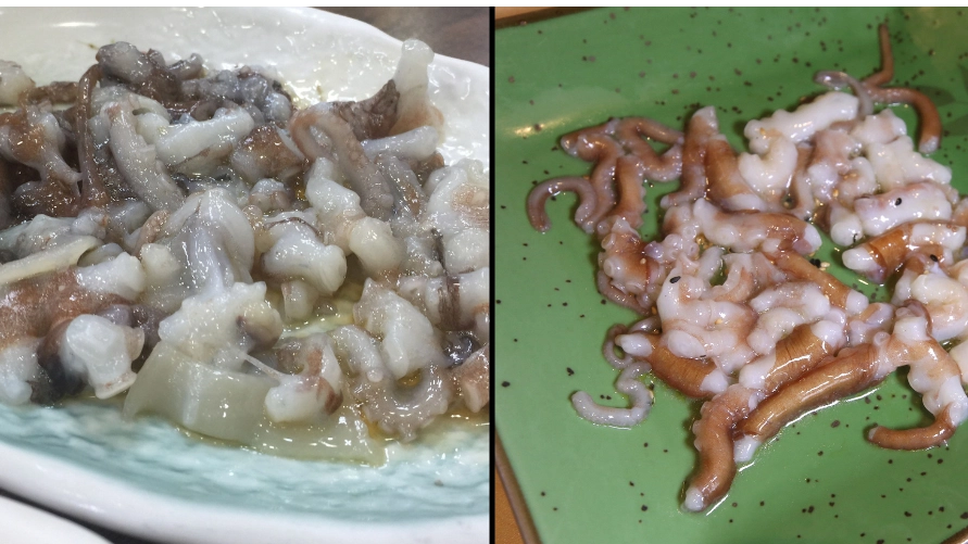Extremely dangerous dish has to be eaten fast before it starts sucking you