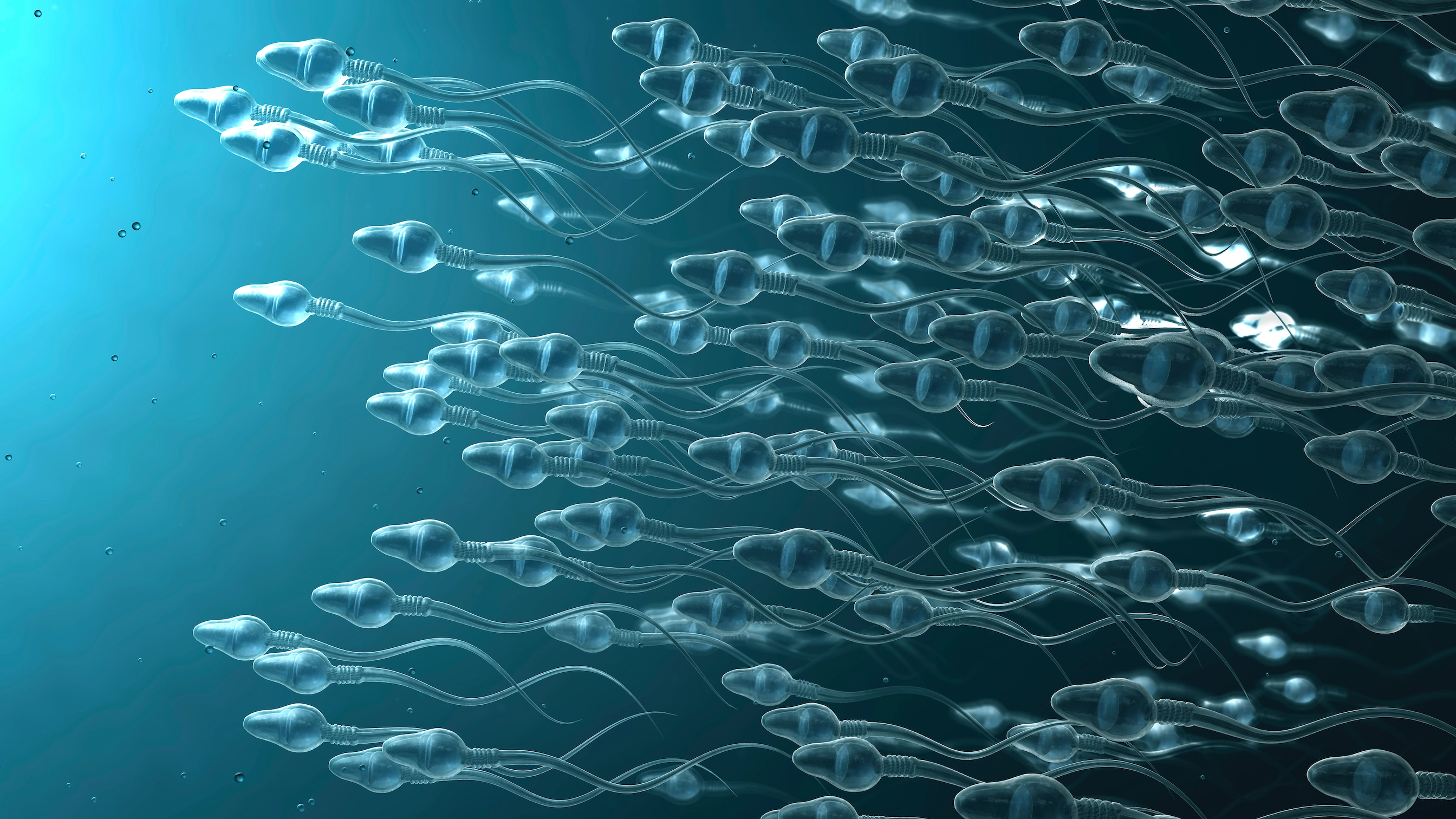Scientists reveal when men's sperm starts to 'go bad' as research shows older fathers can pass on mutations