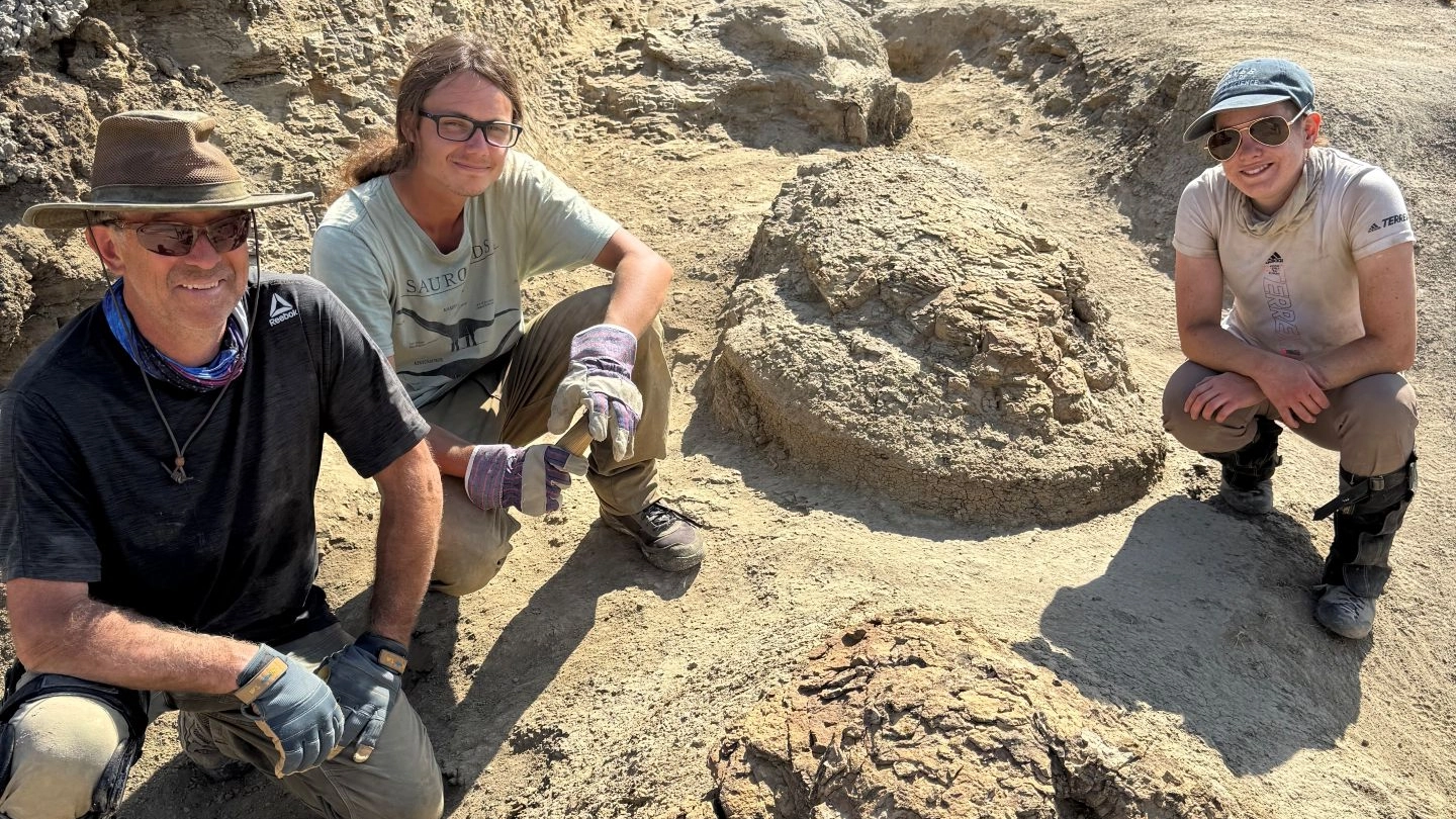First ever known trackway of adult T-Rex discovered in North America dates back 66,500,000 years