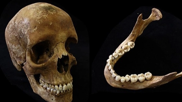 Sobering images reveal what really happens to your body after death when you smoke