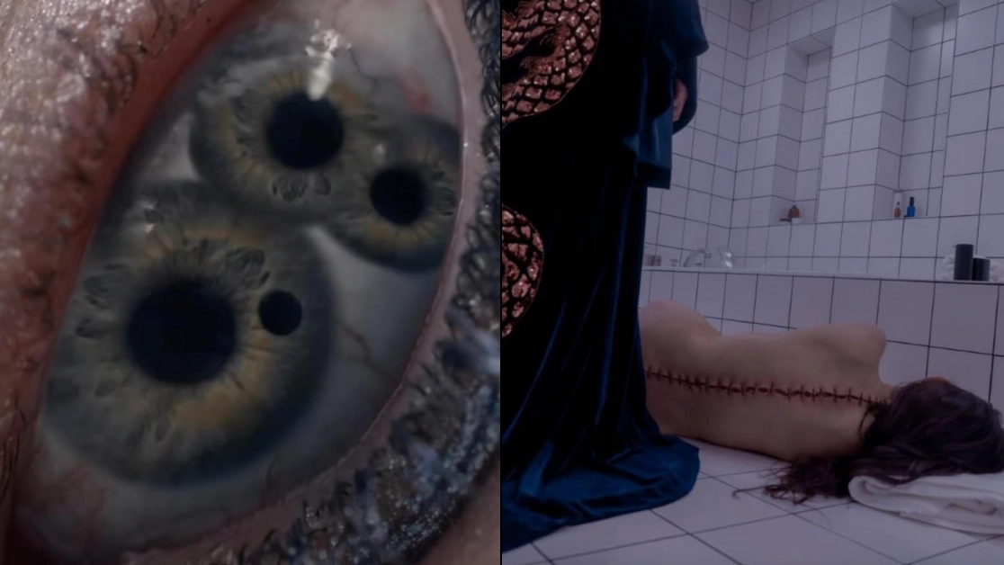 Horror fans 'desensitised' to gore say scene in Demi Moore horror is 'one of most disgusting they've ever seen'