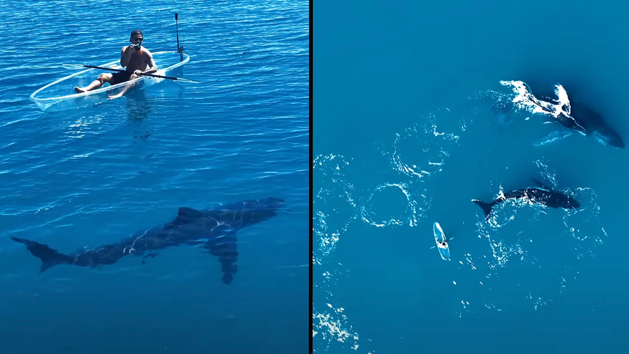 Man had some terrifying encounters while travelling across ocean in see-through kayak