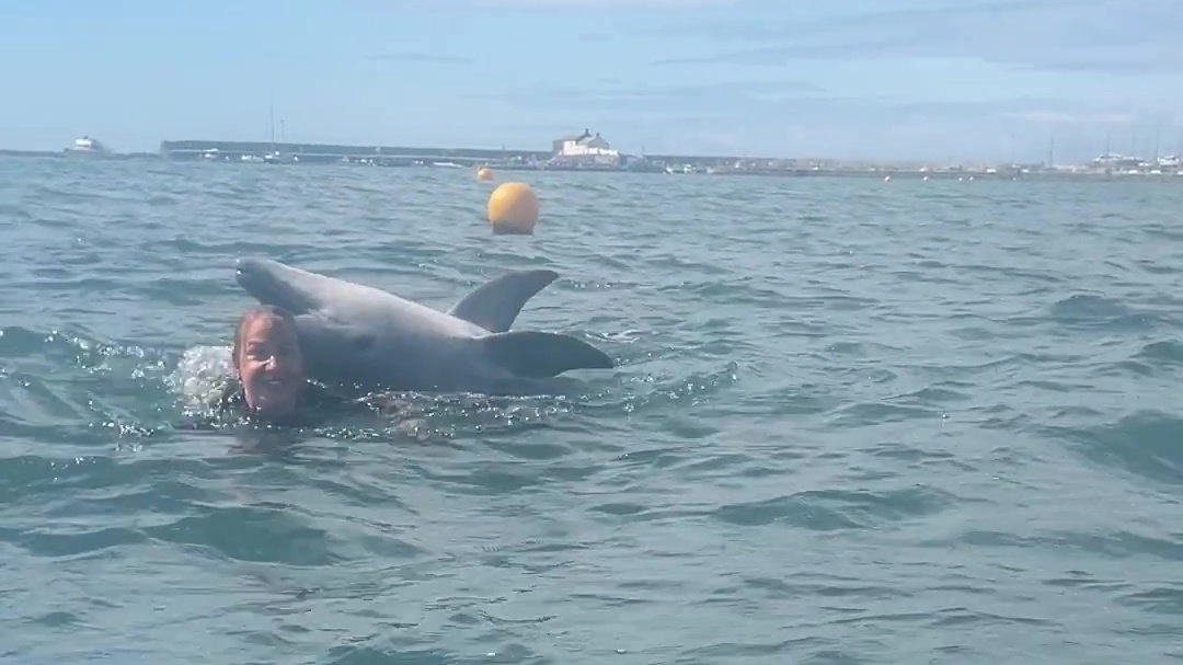 Terrifying truth about dolphins as sinister update issued on one seen ‘playing with family’