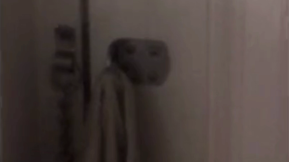 Grenfell mobile phone footage shows moment dad's flat filled with black smoke in new Netflix doc