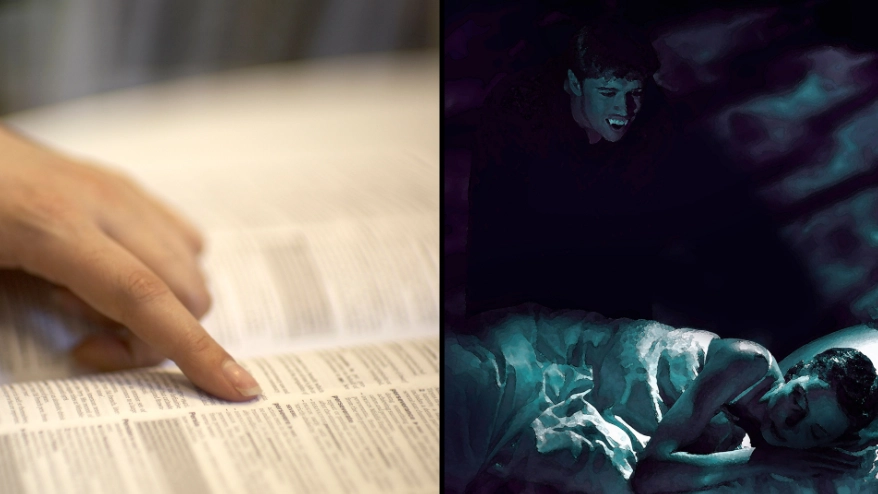Cambridge Dictionary reveals 'hallucinate' is the word of the year but it now has a new meaning