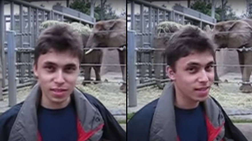 First video ever posted on YouTube has made an incredible amount of money since it was uploaded
