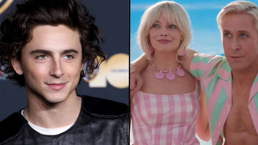 Timothée Chalamet told Greta Gerwig that he ‘should’ve been in’ Barbie