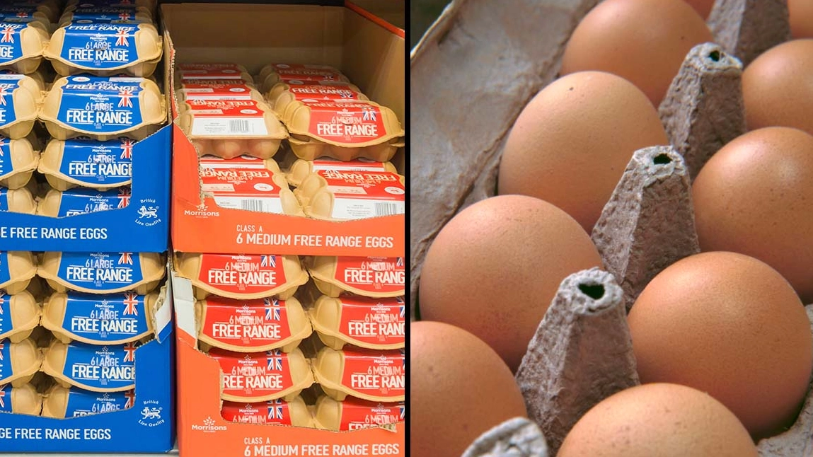 Brits Will No Longer Be Able To Buy Free-Range Eggs In Supermarkets From Monday