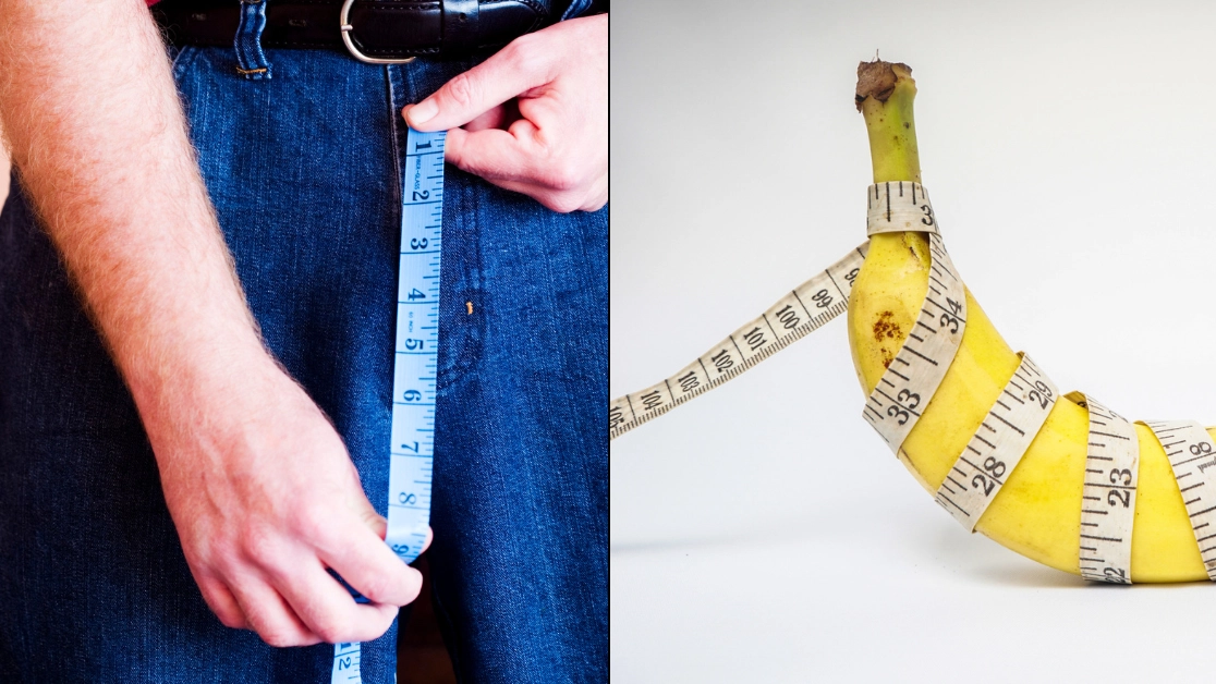 Expert shares all factors that explain why British penis length has 'grown nearly 10% in two years'