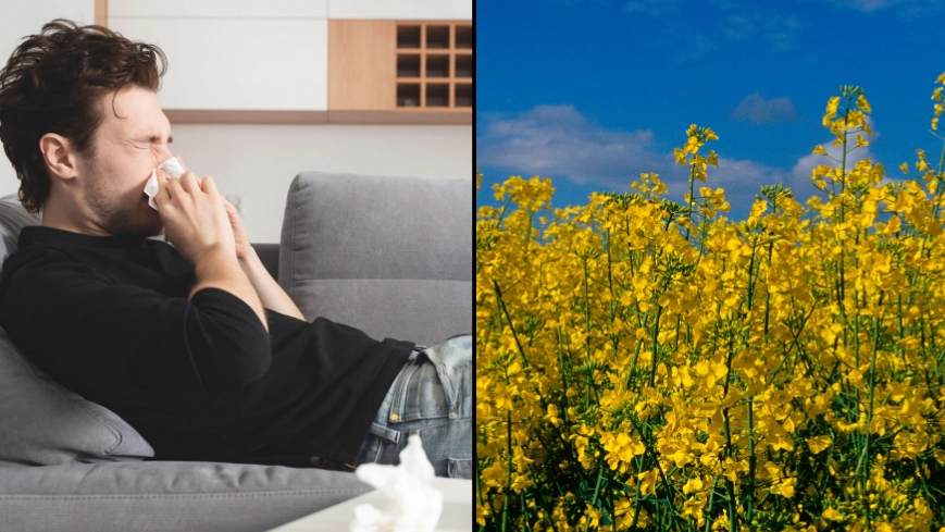 Viral £4 hay fever tablet 'cures all symptoms'