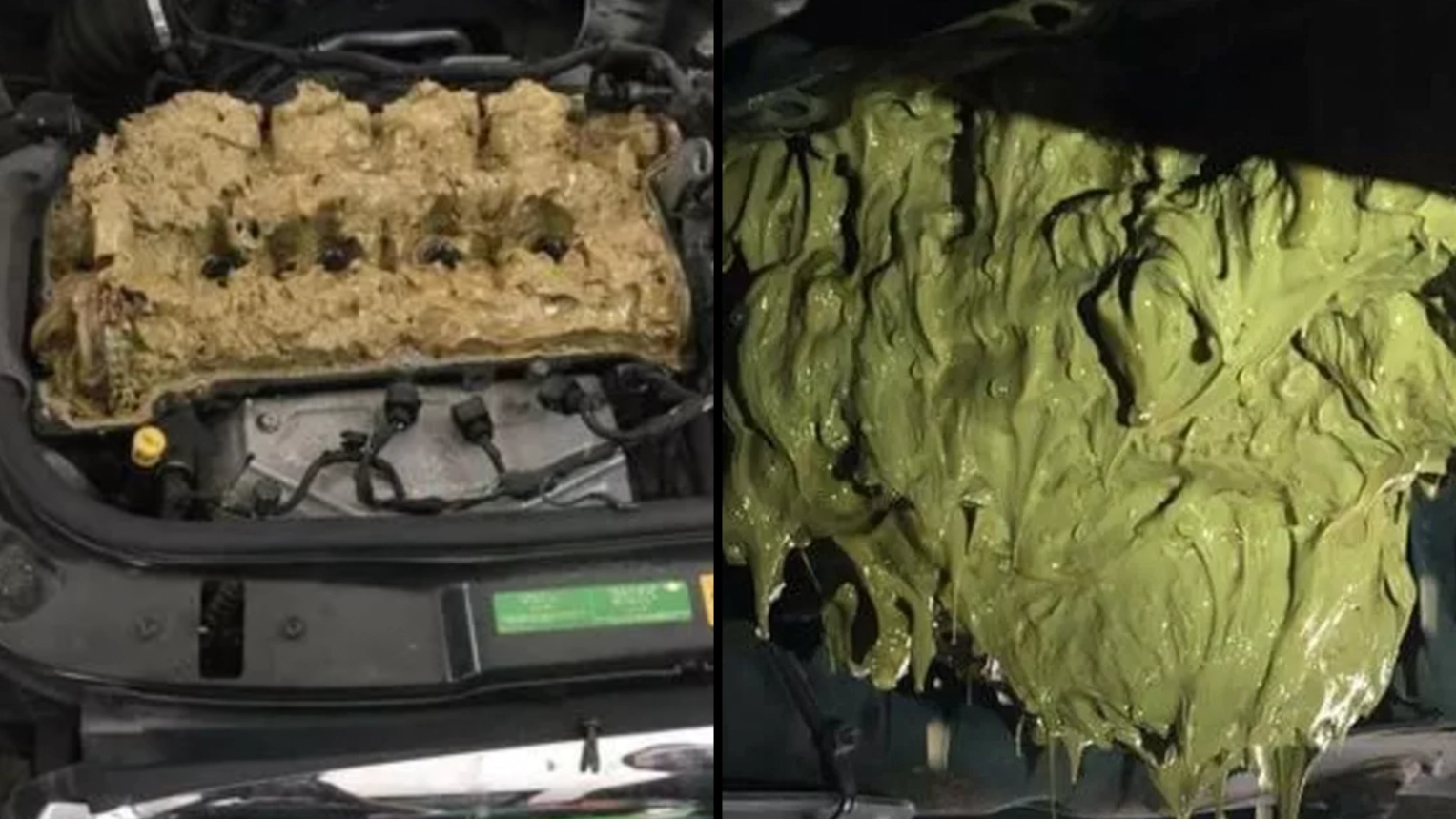 Driver left with bill costing thousands after expensive windscreen washer mistake