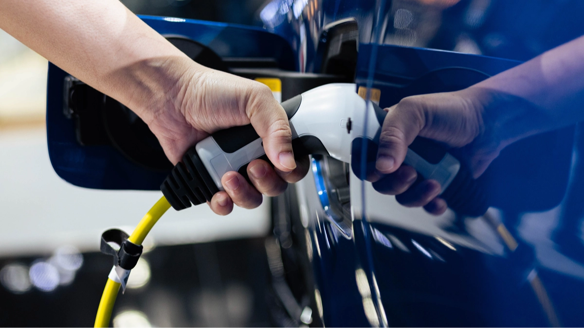 Tesla driver shocks people after sharing their first electricity bill in 12 months
